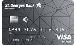 visa-business