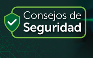 consejos-de-seguridad-303x188px_1